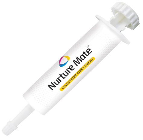 Breeder's Edge Nurture Mate paste representing the best electrolytes for dogs