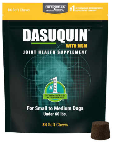 Nutramax Dasuquin with MSM soft chews bag, representing the best joint supplements for senior dogs