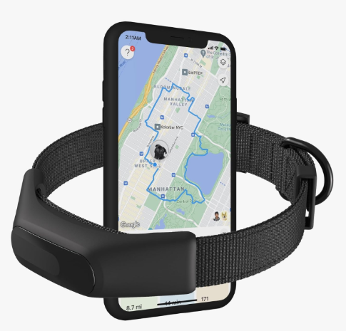 Averia Collar smart tracker representing the best gps dog collars with no monthly fee