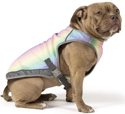 Canada Pooch Chill Seeker cooling vest representing dog cooling vests for summer heat