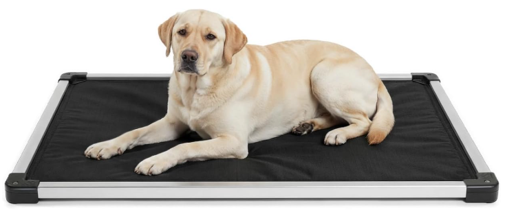 K9 Ballistics armored padded bed representing the best indestructible dog beds for heavy chewers