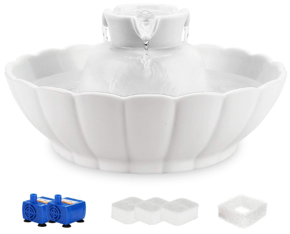 iPettie ceramic pet water fountain representing the best dog water fountains for kidney disease